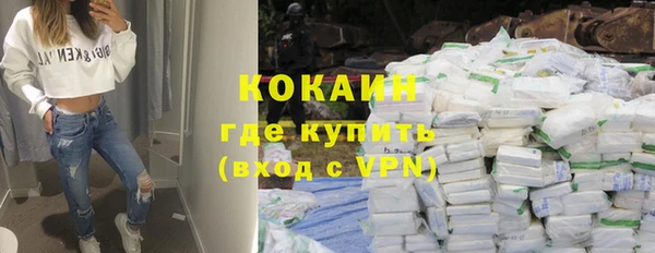 индика Володарск
