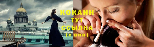 индика Володарск