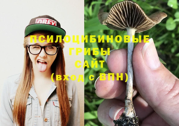 mix Вяземский