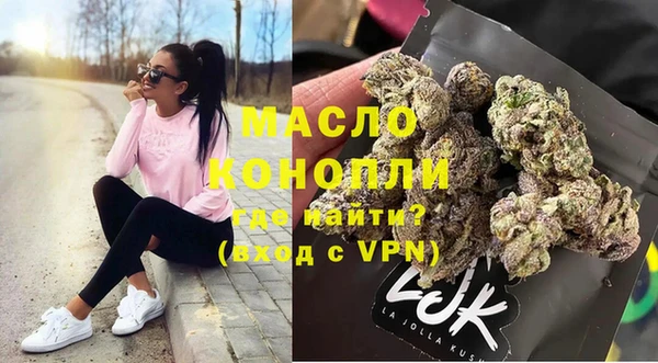 индика Володарск
