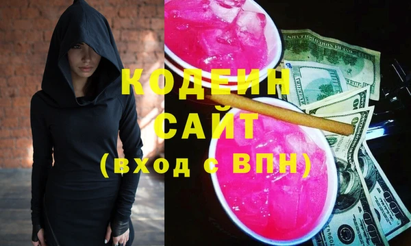 индика Володарск