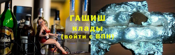 индика Володарск